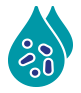 Bacteremia that occurs in association with, or is suspected to be associated with, any of the infections listed above