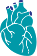 Infective endocarditis